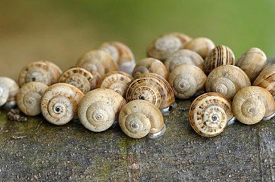 《Lumo 2》多平台发售 经典动作冒险续作